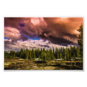Deep in the northern forests Landscape Photo Print