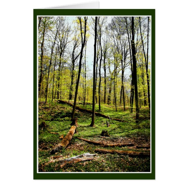 Deep In The Woods (Front)