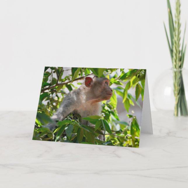 Deep In Thought, Kerala, India Card (Front)