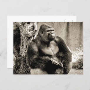 DEEP IN THOUGHT Postcard
