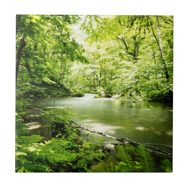 Deep Into the Forest Ceramic Tile (Front)