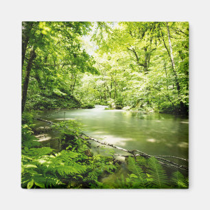 Deep Into the Forest Magnet