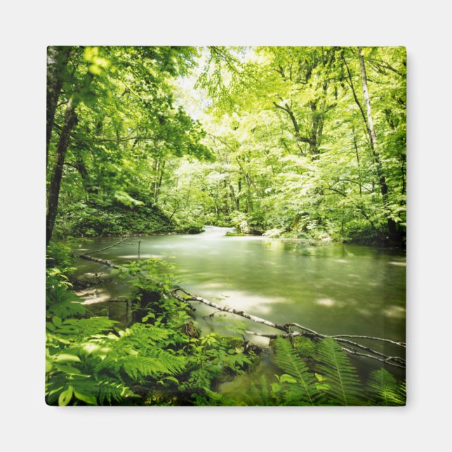 Deep Into the Forest Magnet (Front)