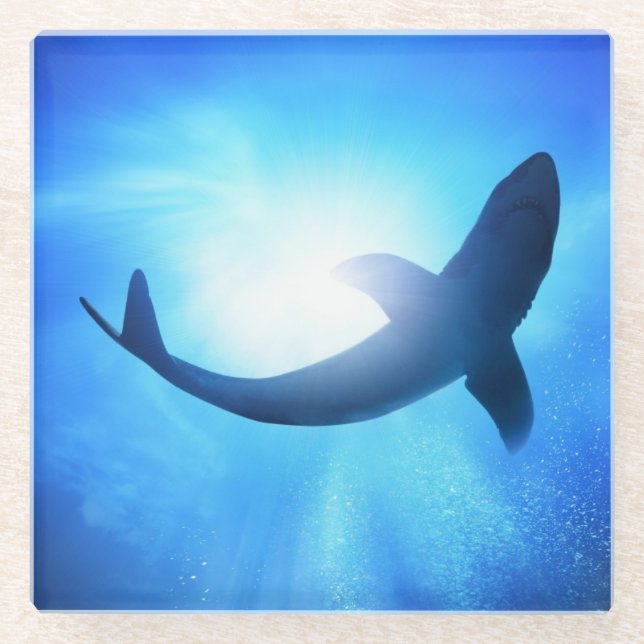Deep Ocean Shark Silhouette Glass Coaster (Front)