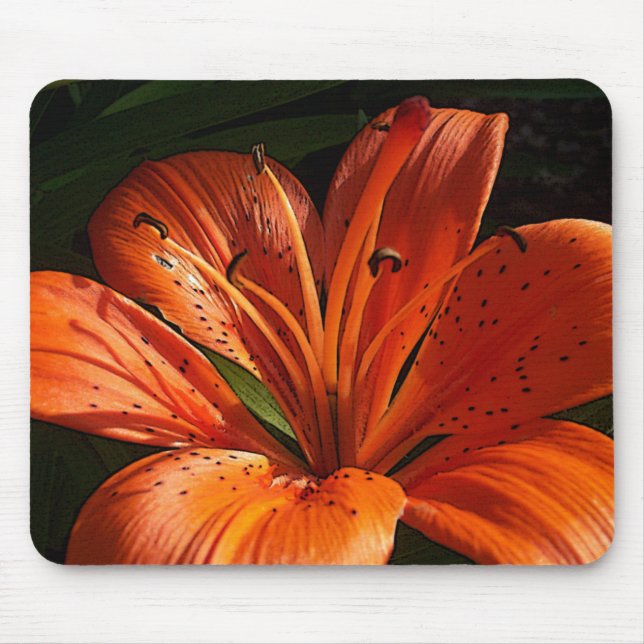 Deep Orange Mouse Pad (Front)