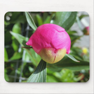 deep pink bud mouse pad