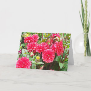 Deep Pink Dahlias Card
