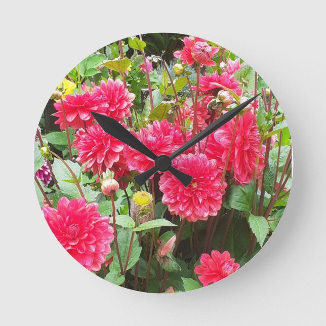 Deep Pink Dahlias Clock (Front)