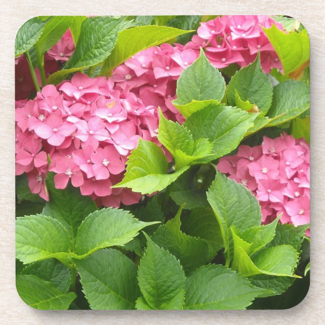 Deep Pink Hydrangeas Coaster (Front)