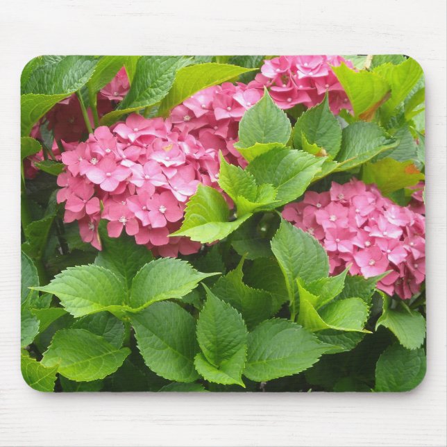 Deep Pink Hydrangeas Mouse Pad (Front)