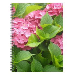 Deep Pink Hydrangeas Notebook