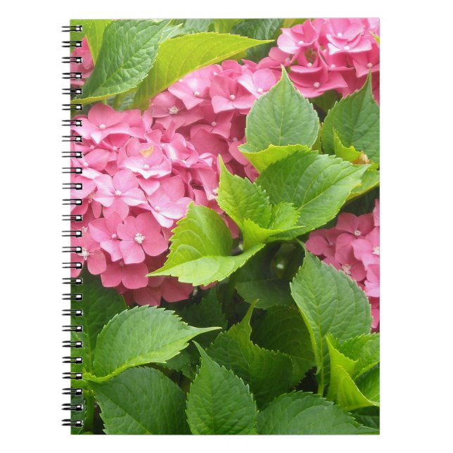 Deep Pink Hydrangeas Notebook (Front)