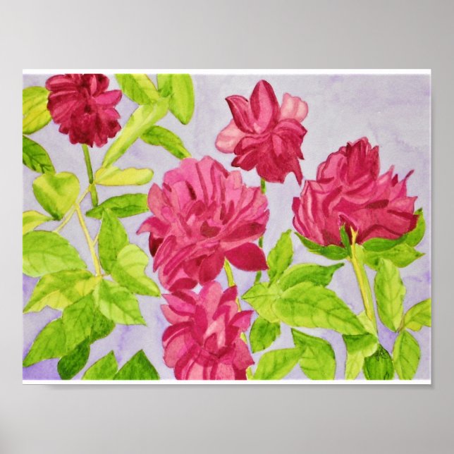 Deep Pink Roses Watercolor Poster (Front)