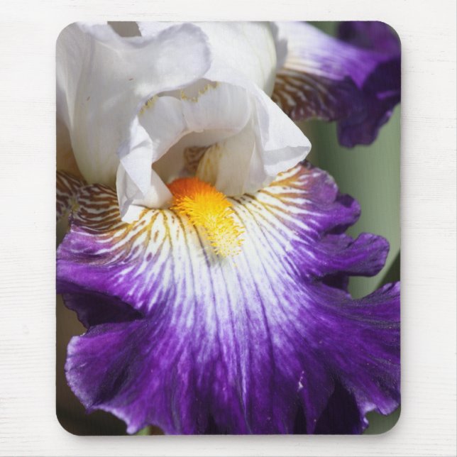 Deep Purple and White Iris Mousepad (Front)