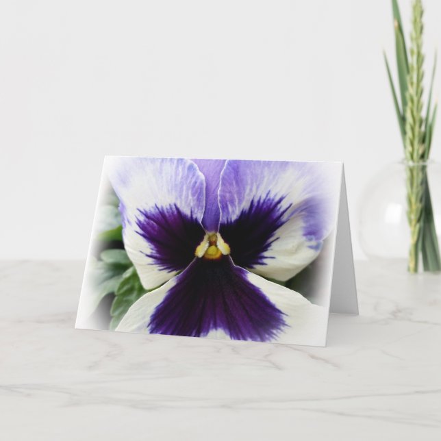 deep purple on white pansy card (Front)