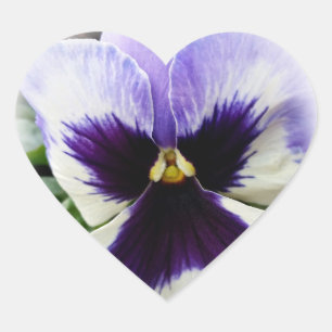 deep purple on white pansy heart sticker
