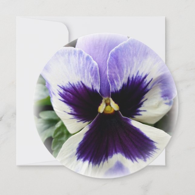 deep purple on white pansy invitation (Front)