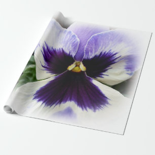 deep purple on white pansy wrapping paper
