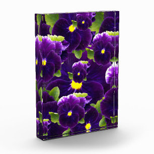 Deep Purple Pansy Clusters: Majestic Beauty Photo Block