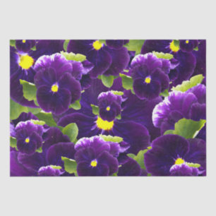 Deep Purple Pansy Clusters: Majestic Beauty Tissue Paper