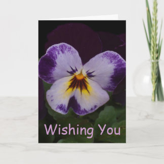 Deep Purple White Pansies Card