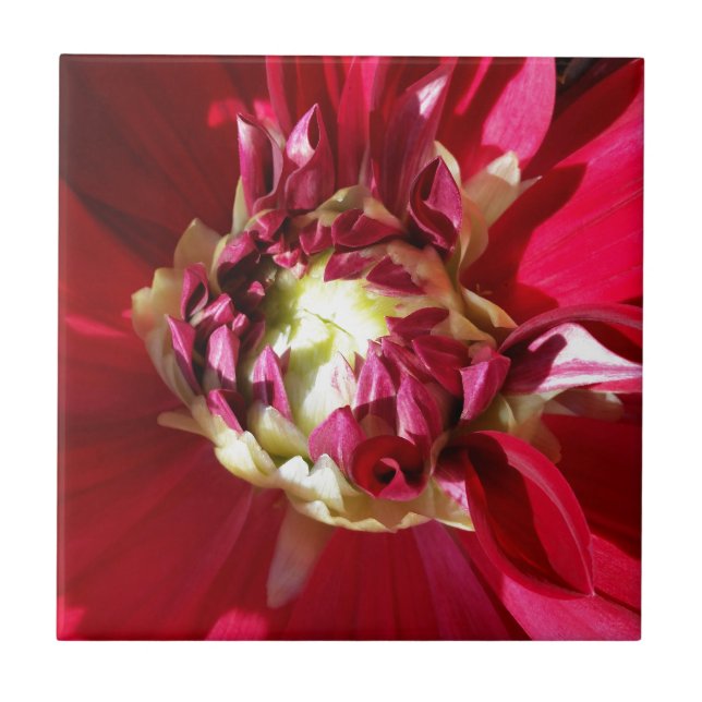deep red bloom ceramic tile (Front)