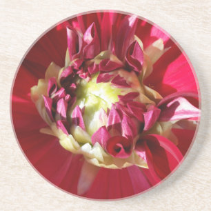 deep red bloom coaster