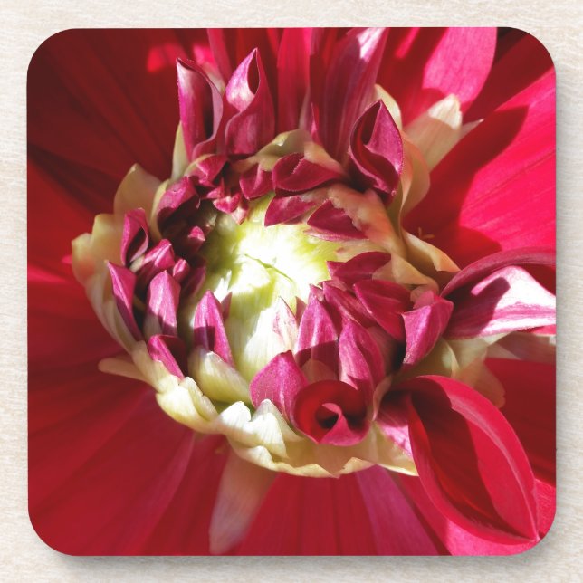 deep red bloom coaster (Front)