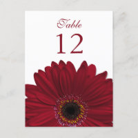 Deep Red Gerbera Daisy Table Number Card Flat