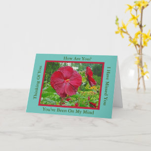 DEEP RED HIBISCUS / THINKING OF YOU Greeting Card
