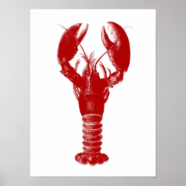 Deep Red Lobster on White Poster (Front)