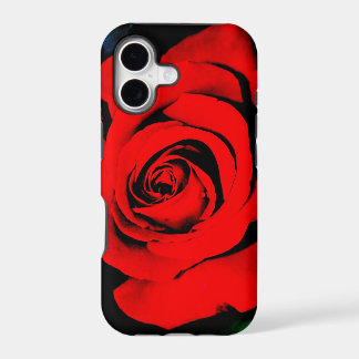 Deep Red Rose