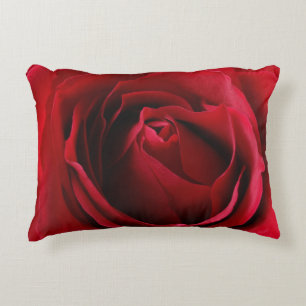 deep red rose decorative cushion
