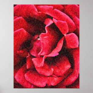 Deep Red Rose Photograph Art Print
