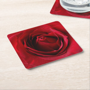 deep red rose square paper coaster