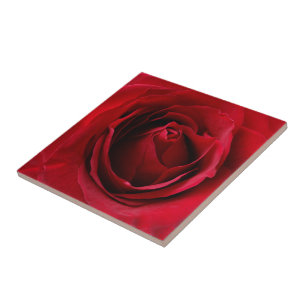 deep red rose tile