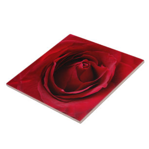 deep red rose tile