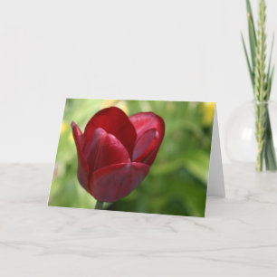Deep Red Tulip Card