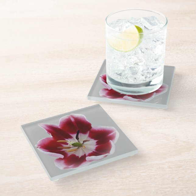 Deep red tulip glass coaster (Angled)