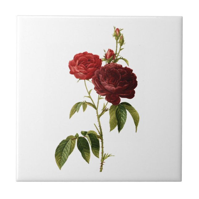 Deep red vintage roses painting tile (Front)