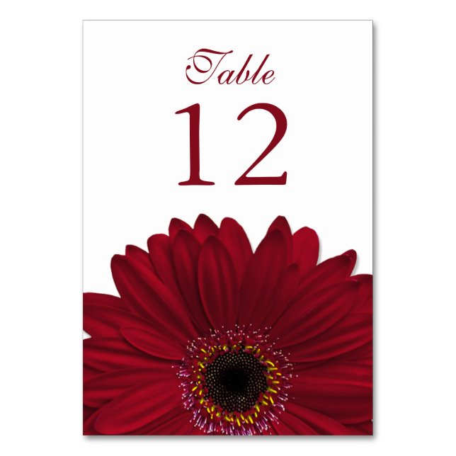 Deep Red White Gerbera Daisy Wedding Table Number (Front)