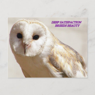 DEEP SATISFACTION BREEDS BEAUTY POSTCARD