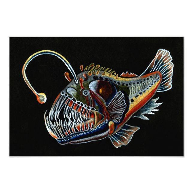 Deep Sea Angler Fish photo print (Front)