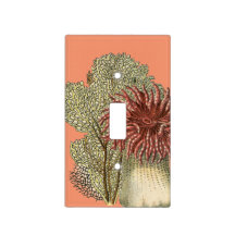 Deep Sea Coral with Sea Fans and Anemones