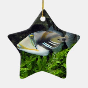 Deep sea fish ceramic ornament