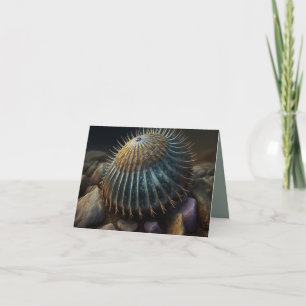 Deep Sea Urchin Announcement