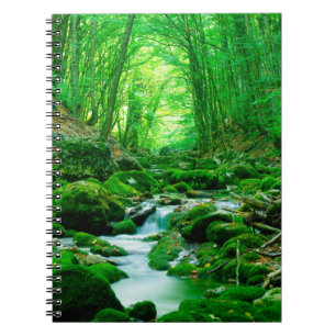 Deep summer woodforest,backwoods,deep,depth,flow,l notebook