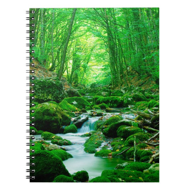 Deep summer woodforest,backwoods,deep,depth,flow,l notebook (Front)