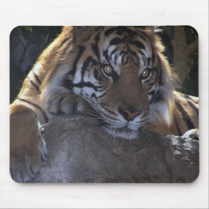 Deep Thought Mouse Pad