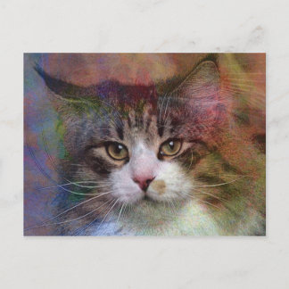 Deep Thoughts Postcard